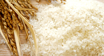 オールグルテンフリーの写真